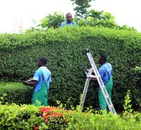 Création et entretien des espaces verts